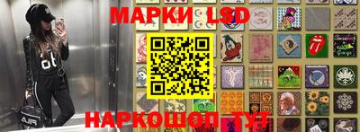 ГАЛЛЮЦИНОГЕННЫЕ ГРИБЫ Аргун