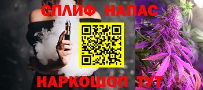 прущие грибы Апшеронск